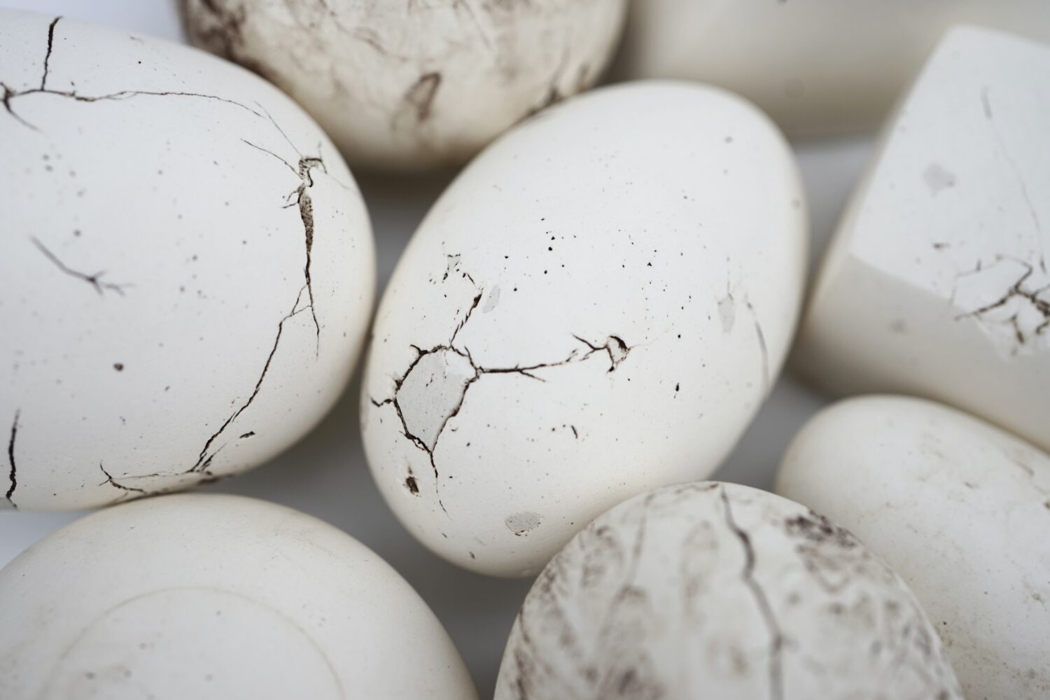 植田 佳奈〈陶片練り込み石ころ〉2023（参考）