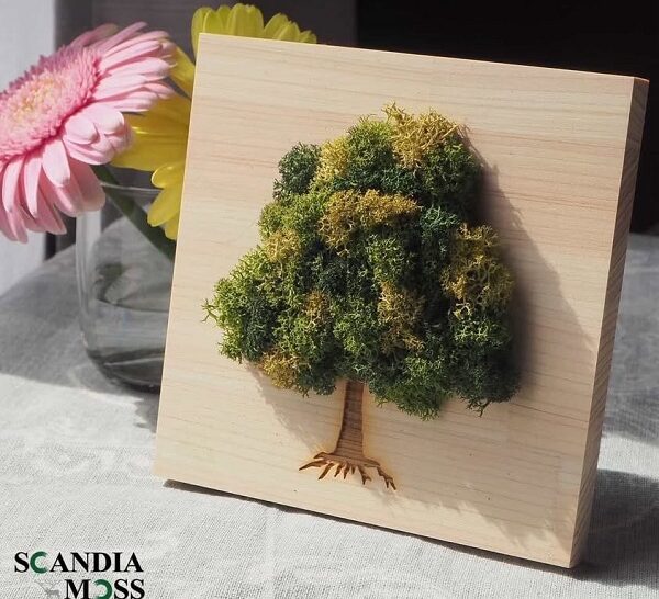 【新・１Day】スカンディアモス教室